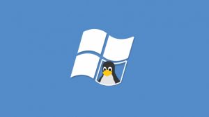 Какую ОС выбрать: сходства и различия Windows и Linux